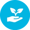 Support sustainable aviation icon